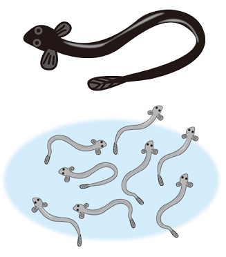 画像認識を用いたAIシステム